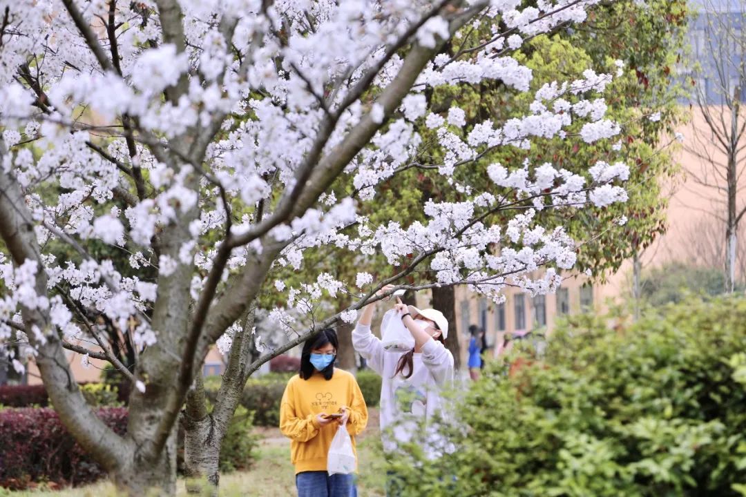 威廉希尔中文官网