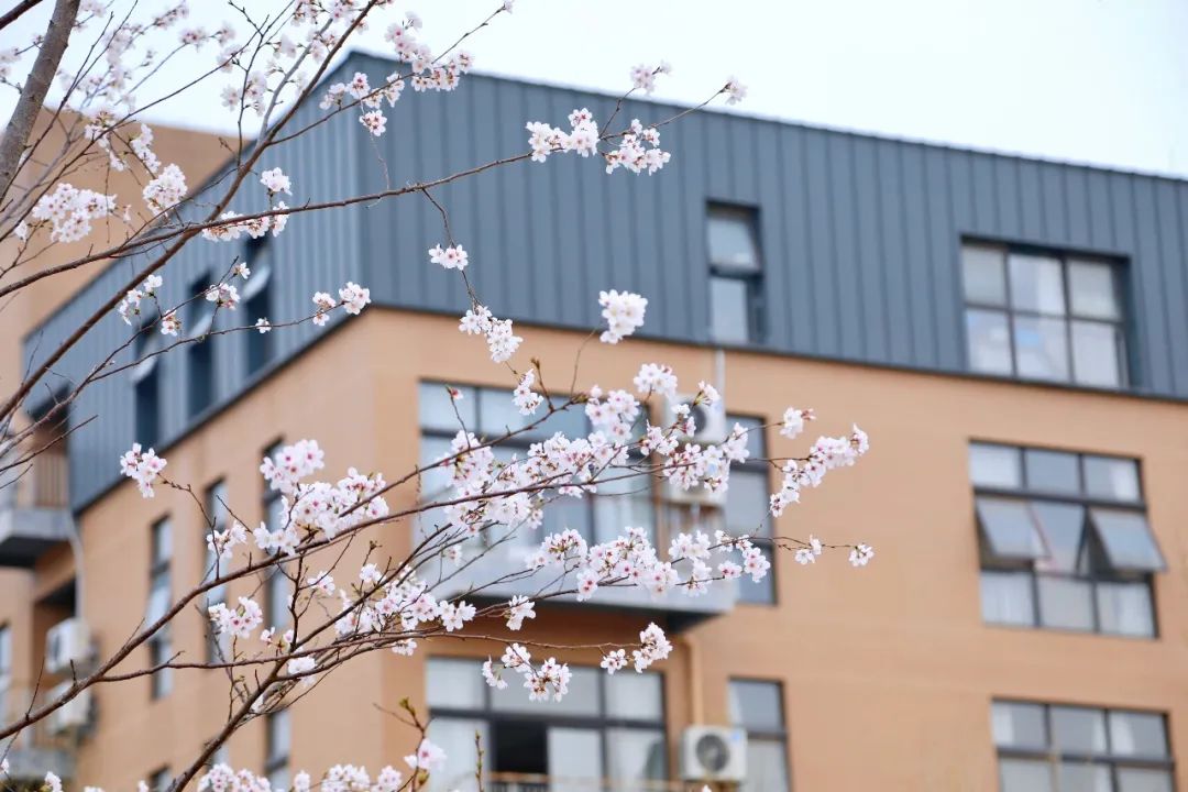 威廉希尔中文官网