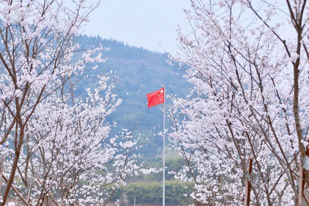 威廉希尔中文官网