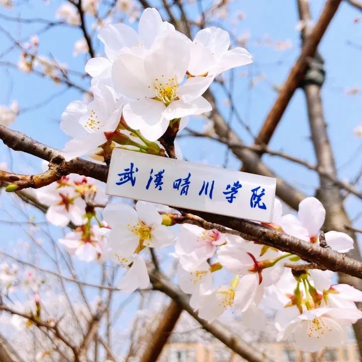 威廉希尔中文官网