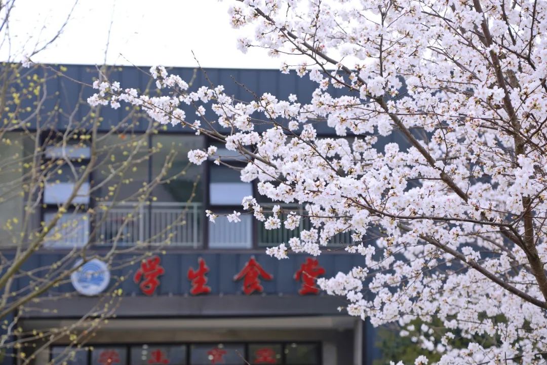 威廉希尔中文官网