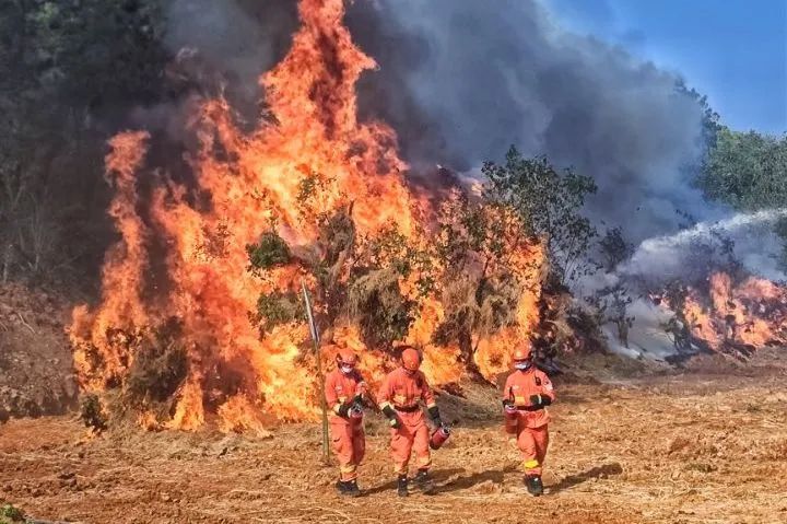 威廉希尔中文官网
