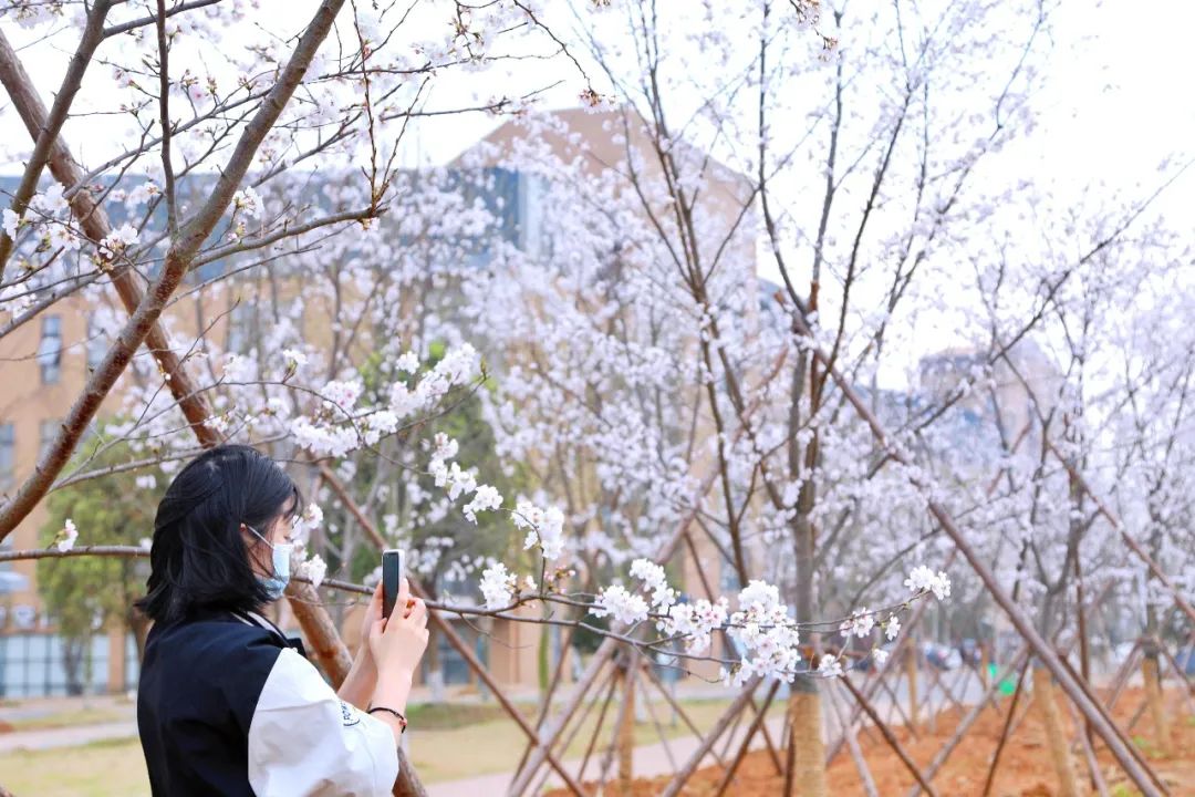 威廉希尔中文官网