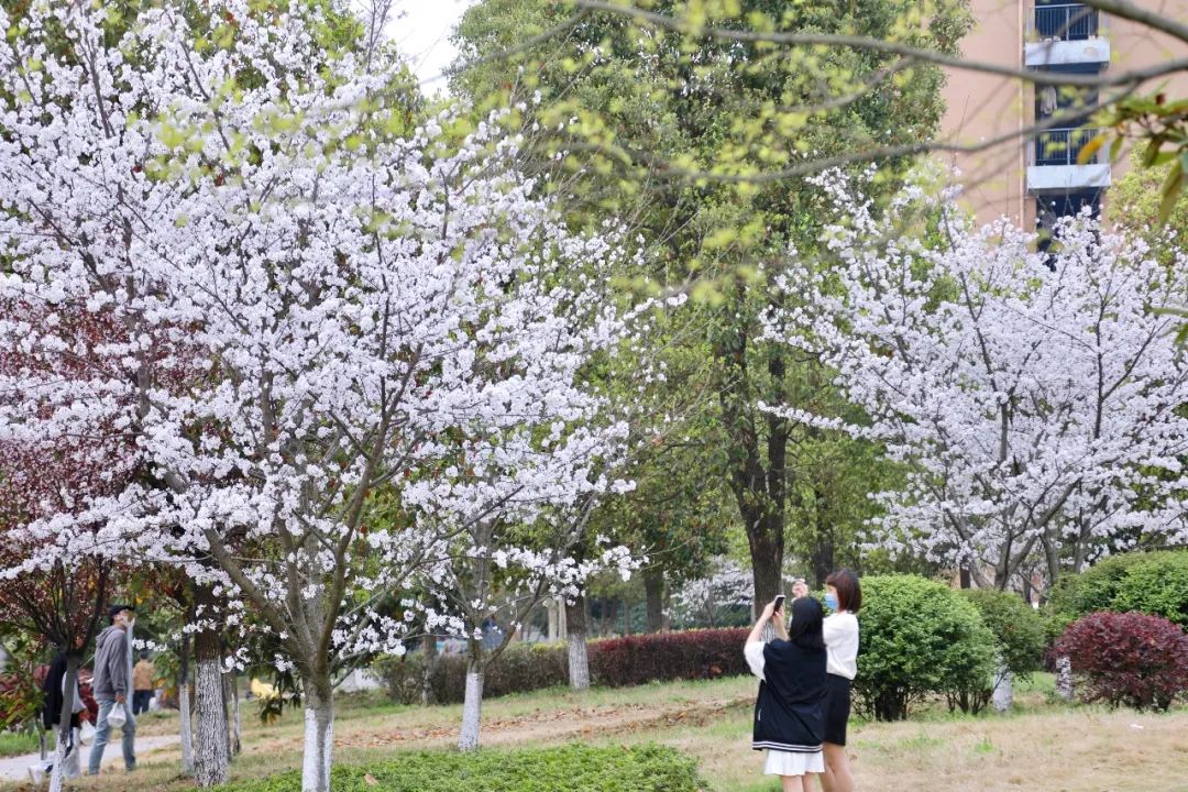 威廉希尔中文官网